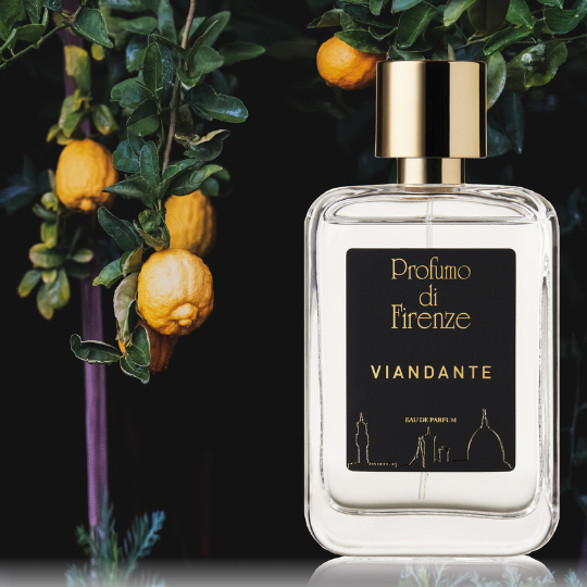Viandante - Profumo di Firenze - Eau de Parfume - 100 ML